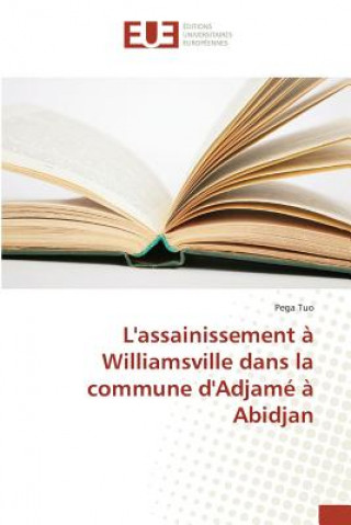 Könyv Lassainissement a Williamsville dans la commune dAdjame a Abidjan Tuo Pega