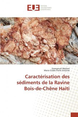 Carte Caracterisation des sediments de la Ravine Bois-de-Chene Haiti Moliere Emmanuel