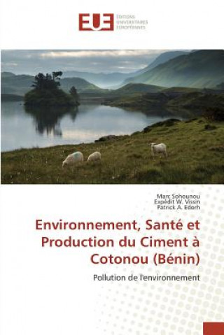 Książka Environnement, Sante Et Production Du Ciment A Cotonou (Benin) Sohounou Marc