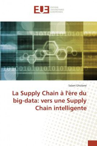 Kniha Supply Chain a l'ere du big-data Ghizlane Salam