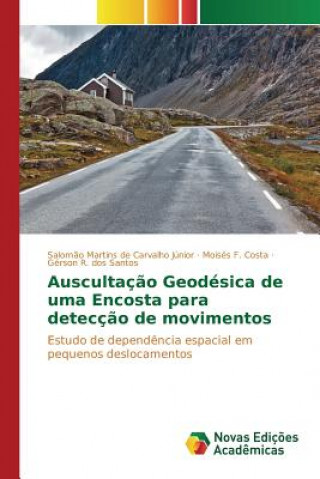 Kniha Auscultacao Geodesica de uma Encosta para deteccao de movimentos Martins De Carvalho Junior Salomao