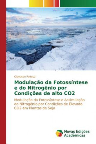 Könyv Modulacao da Fotossintese e do Nitrogenio por Condicoes de alto CO2 Feitosa Glaydson