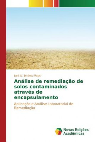 Kniha Analise de remediacao de solos contaminados atraves de encapsulamento Jimenez Rojas Jose W