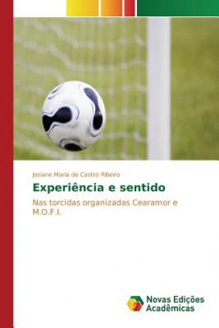Könyv Experiencia e sentido De Castro Ribeiro Josiane Maria