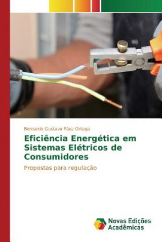 Kniha Eficiencia Energetica em Sistemas Eletricos de Consumidores Paez Ortega Bernardo Gustavo