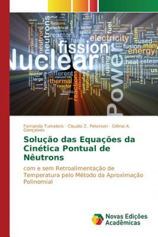 Książka Solucao das Equacoes da Cinetica Pontual de Neutrons Tumelero Fernanda