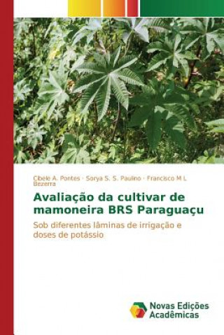 Carte Avaliacao da cultivar de mamoneira BRS Paraguacu Pontes Cibele a