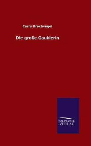 Könyv Die grosse Gauklerin Carry Brachvogel