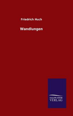 Buch Wandlungen Friedrich Huch