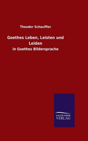 Könyv Goethes Leben, Leisten und Leiden Theodor Schauffler