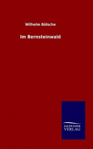 Book Im Bernsteinwald Wilhelm Bolsche