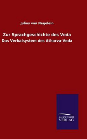 Książka Zur Sprachgeschichte des Veda Julius Von Negelein