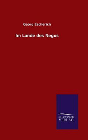 Book Im Lande des Negus Georg Escherich