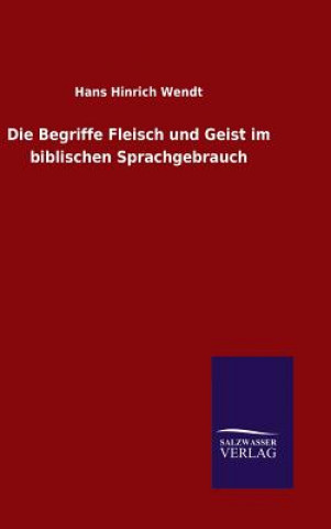 Kniha Begriffe Fleisch und Geist im biblischen Sprachgebrauch Hans Hinrich Wendt