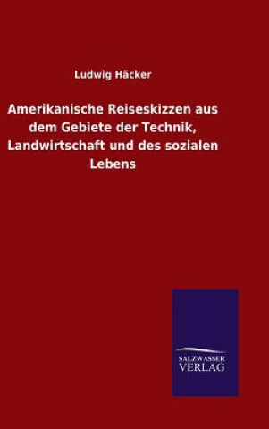 Kniha Amerikanische Reiseskizzen aus dem Gebiete der Technik, Landwirtschaft und des sozialen Lebens Ludwig Hacker