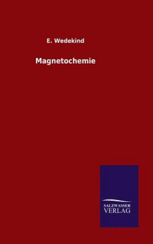 Kniha Magnetochemie E Wedekind