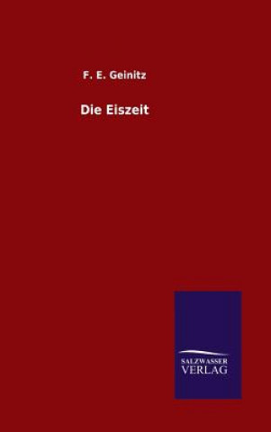 Kniha Die Eiszeit F E Geinitz