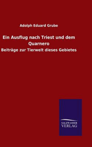 Carte Ein Ausflug nach Triest und dem Quarnero Adolph Eduard Grube