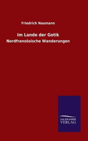 Kniha Im Lande der Gotik Friedrich Naumann