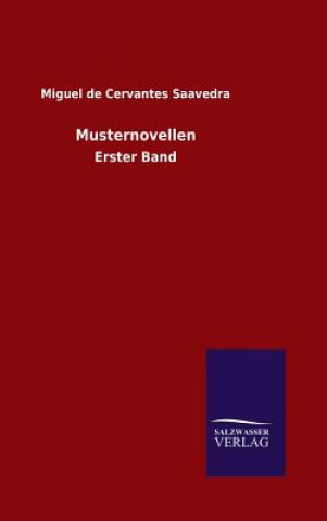 Buch Musternovellen Miguel de Cervantes Saavedra