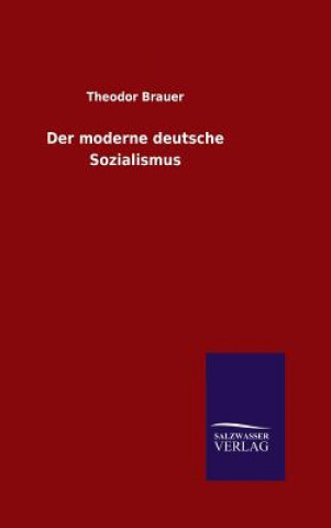 Kniha Der moderne deutsche Sozialismus Theodor Brauer