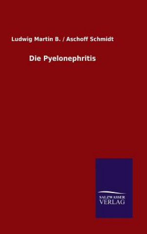 Kniha Die Pyelonephritis Martin B / Aschoff Ludwig Schmidt