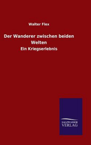 Knjiga Der Wanderer zwischen beiden Welten Walter Flex