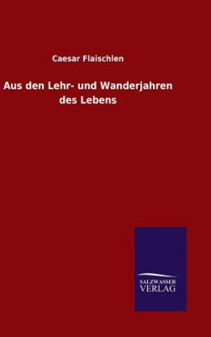 Книга Aus den Lehr- und Wanderjahren des Lebens Caesar Flaischlen