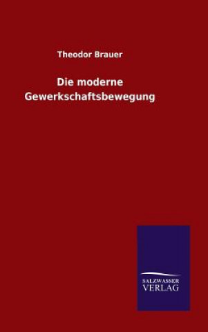 Kniha Die moderne Gewerkschaftsbewegung Theodor Brauer