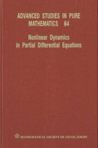 Könyv Nonlinear Dynamics In Partial Differential Equations 