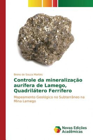 Kniha Controle da mineralizacao aurifera de Lamego, Quadrilatero Ferrifero De Souza Martins Breno