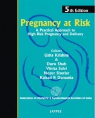 Livre Pregnancy at Risk Usha Krishna