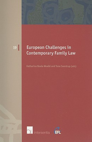 Book European Challenges in Contemporary Family Law Katharina Boele-Woelki