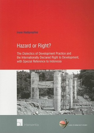 Buch Hazard or Right? Irene Hadiprayitno