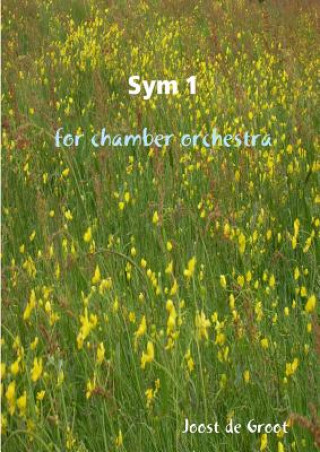 Libro Sym 1 for chamber orchestra Joost De Groot