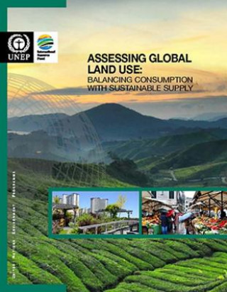 Kniha Assessing global land use United Nations Environment Programme