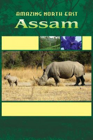 Livre Amazing North East_ Assam Aribam Indubala Devi