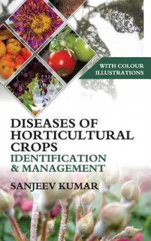 Könyv Diseases of Horticultural Crops Sanjeev Kumar