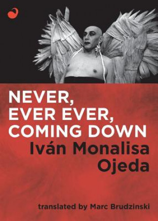 Książka Never, Ever Ever, Coming Down Ivan Monalisa Ojeda