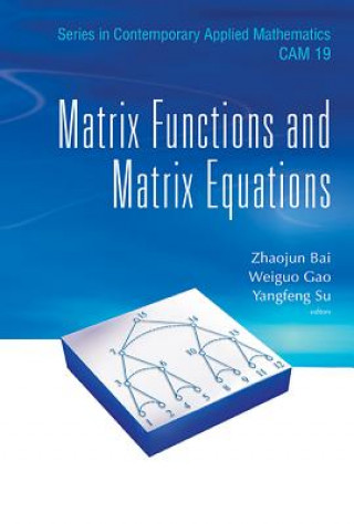 Buch Matrix Functions And Matrix Equations Bai Zhaojun