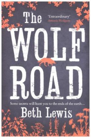 Kniha Wolf Road Beth Lewis
