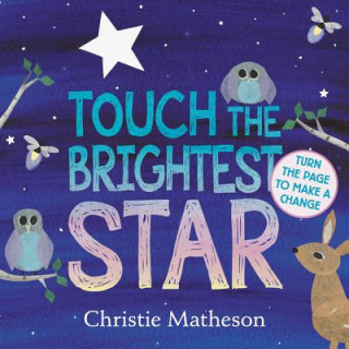 Kniha Touch the Brightest Star Christie Matheson