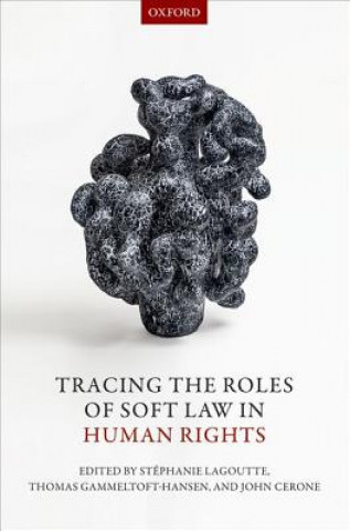 Kniha Tracing the Roles of Soft Law in Human Rights St?anie Lagoutte