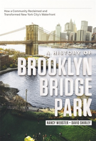 Kniha History of Brooklyn Bridge Park Nancy Webster