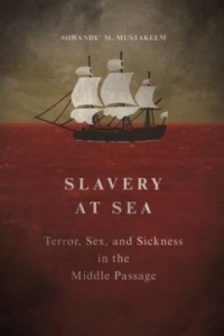 Kniha Slavery at Sea Sowande M Mustakeem