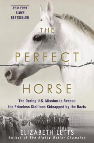 Buch Perfect Horse Elizabeth Letts