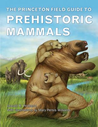 Carte Princeton Field Guide to Prehistoric Mammals Donald R. Prothero