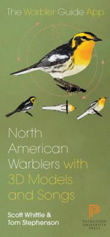 Buch North American Warbler Fold-Out Guide Scott Whittle