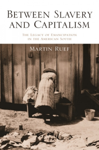 Kniha Between Slavery and Capitalism Martin Ruef