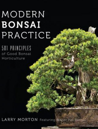 Kniha Modern Bonsai Practice LARRY W MORTON